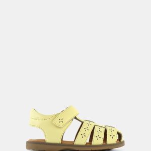 Ciara Yellow